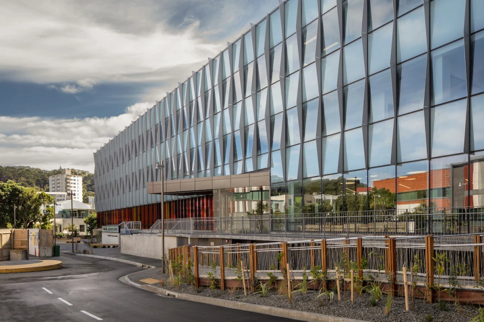 Te Wao Nui Child Health Service and Hospital (Wellington)